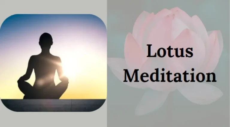 Lotus Meditation